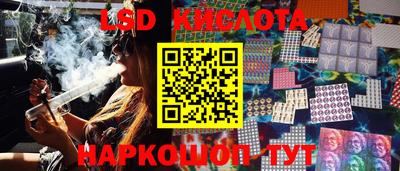 СК Волгодонск