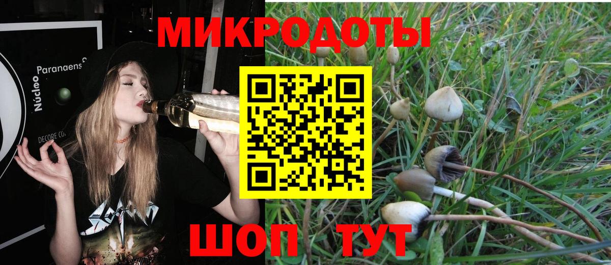 Псилоцибиновые грибы прущие грибы Осинники