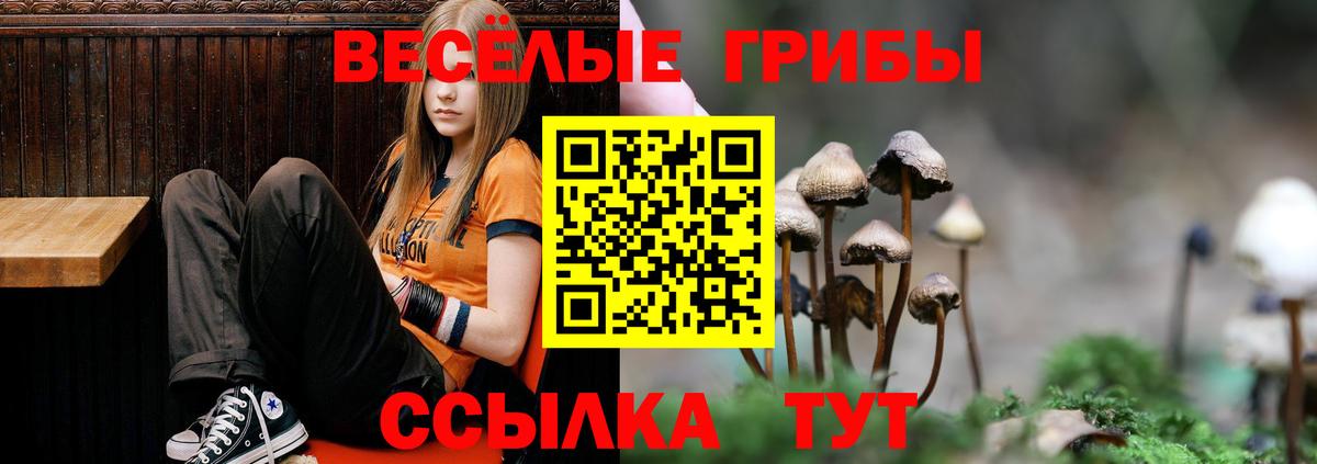 Псилоцибиновые грибы мухоморы  Галлюциногенные грибы Psilocybe  Вход с VPN  Осинники 